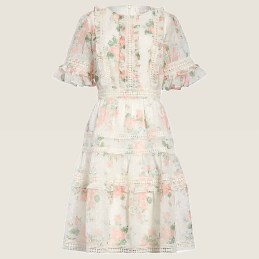 New rare find “Rachel Parcell Floral Ruffle Dress”